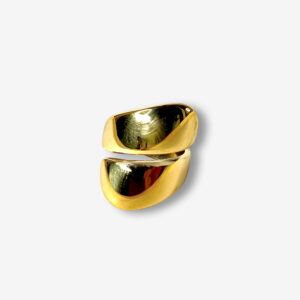 Anillo Espiro