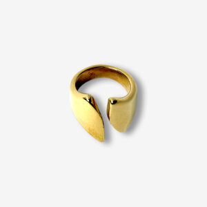 anillo 7