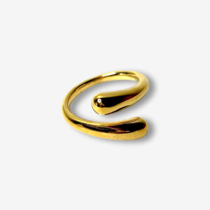 Anillo Ari